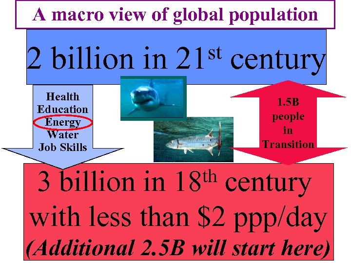 A macro view of global population 2 billion in st 21 Health Education Energy