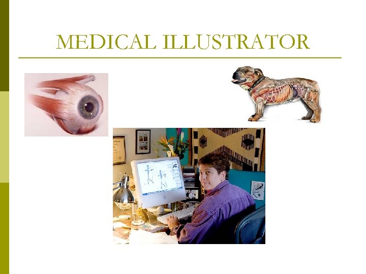 MEDICAL ILLUSTRATOR 