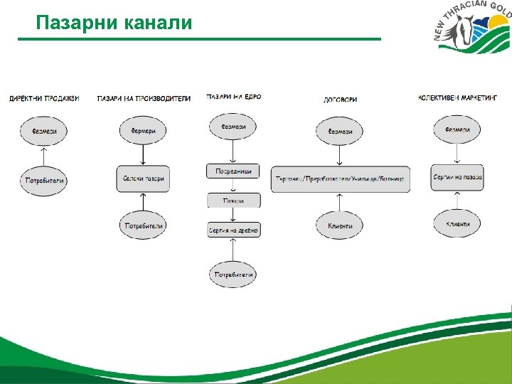 Пазарни канали 