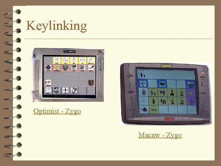 Keylinking Optimist - Zygo Macaw - Zygo 