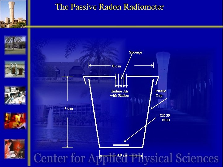 The Passive Radon Radiometer Sponge 6 cm Indoor Air with Radon Plastic Cup 7