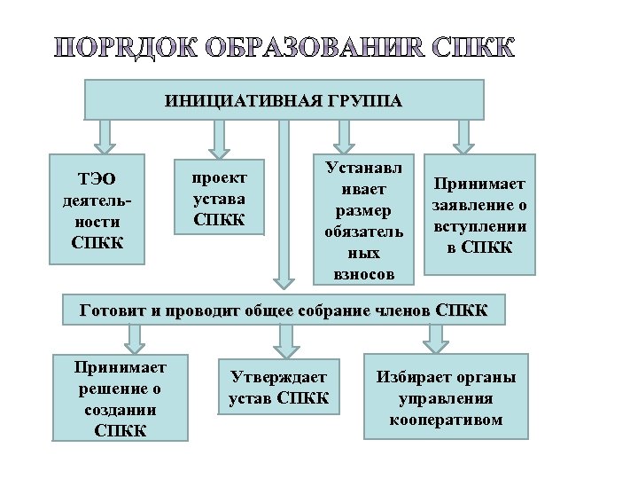 ИНИЦИАТИВНАЯ ГРУППА ТЭО деятельности СПКК проект устава СПКК Устанавл ивает размер обязатель ных взносов