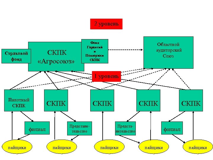 Кооперация структура. 2 Уровень кооперации что это. Пайщики первого и второго уровня. СКПК. Ма СКПК «лад.