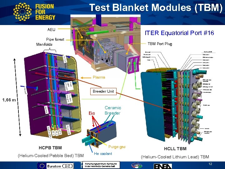 Test Blanket Modules (TBM) AEU ITER Equatorial Port #16 Pipe forest Manifolds TBM Port