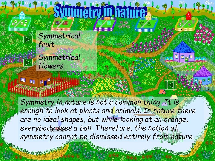 Symmetrical fruit Symmetrical flowers Symmetry in nature is not a common thing. It is