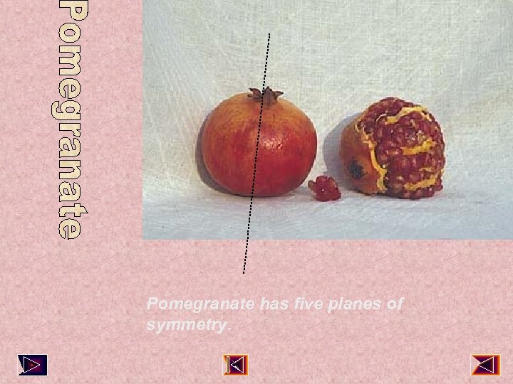 Pomegranate has five planes of symmetry. 