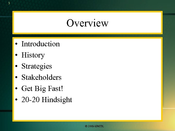 3 Overview • • • Introduction History Strategies Stakeholders Get Big Fast! 20 -20