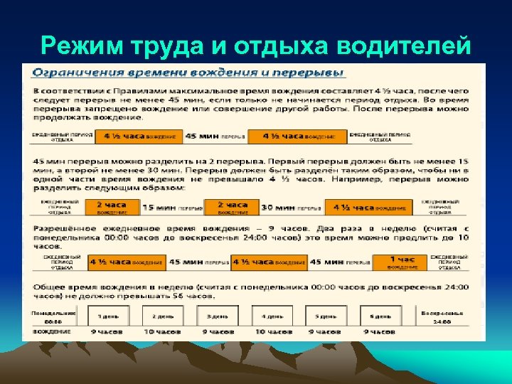 Режим труда и отдыха водителей 