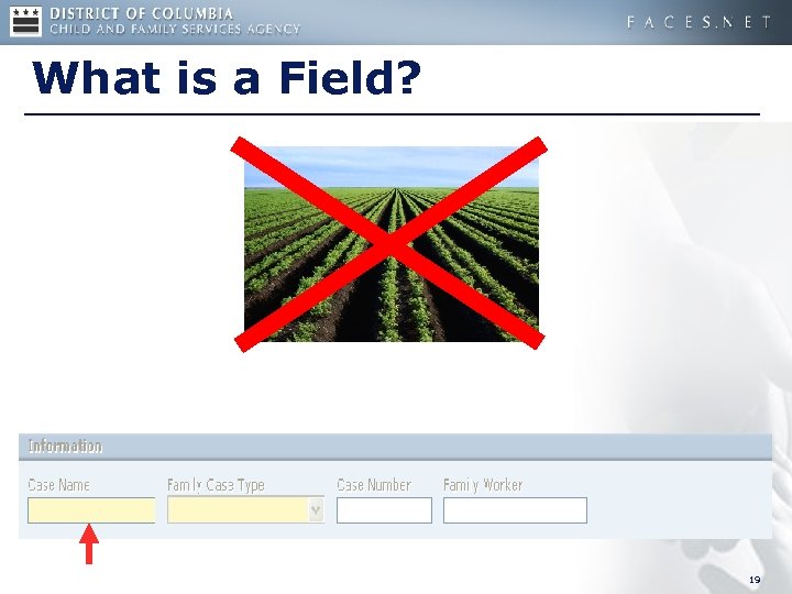 What is a Field? 19 