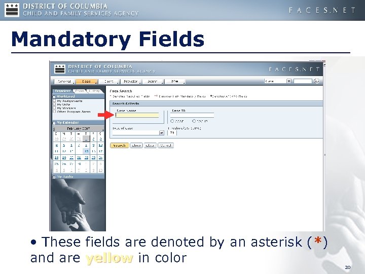 Mandatory Fields • These fields are denoted by an asterisk (*) and are yellow