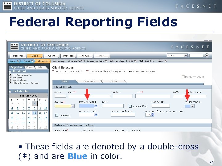 Federal Reporting Fields • These fields are denoted by a double-cross (‡) and are