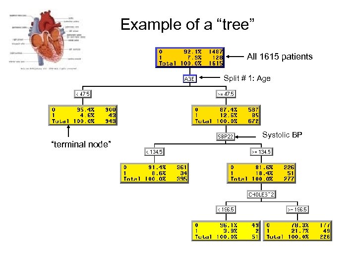 Example of a “tree” All 1615 patients Split # 1: Age Systolic BP “terminal