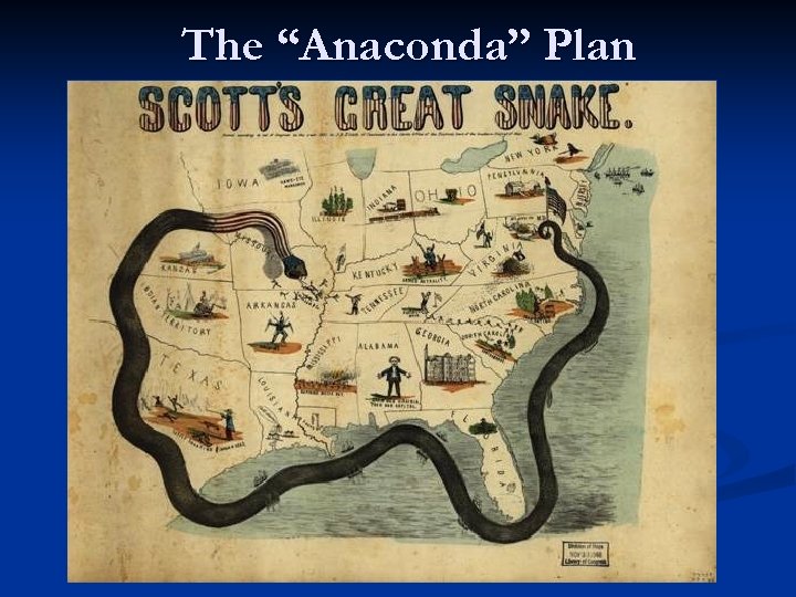 The “Anaconda” Plan 