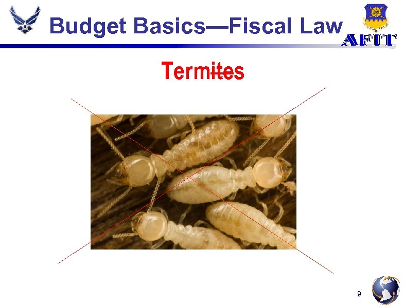 Budget Basics—Fiscal Law Termites 9 