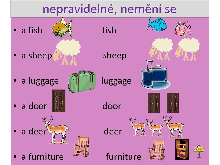 nepravidelné, nemění se • a fish • a sheep • a luggage • a
