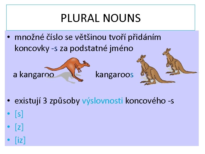 PLURAL NOUNS • množné číslo se většinou tvoří přidáním koncovky -s za podstatné jméno
