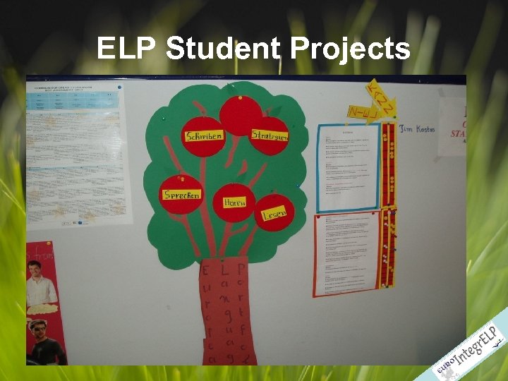 ELP Student Projects 