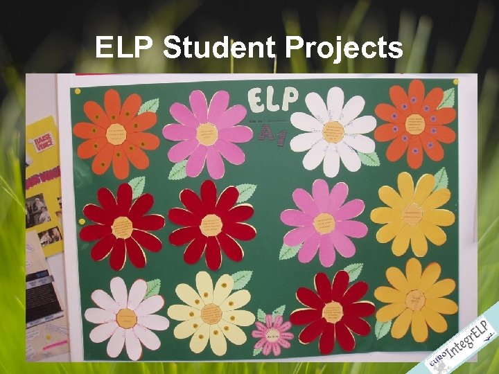 ELP Student Projects 