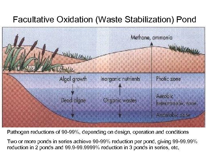 Facultative Oxidation (Waste Stabilization) Pond Pathogen reductions of 90 -99%, depending on design, operation