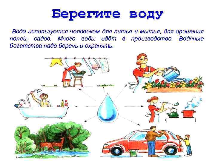 Берегите воду Вода используется человеком для питья и мытья, для полей, садов. Много воды