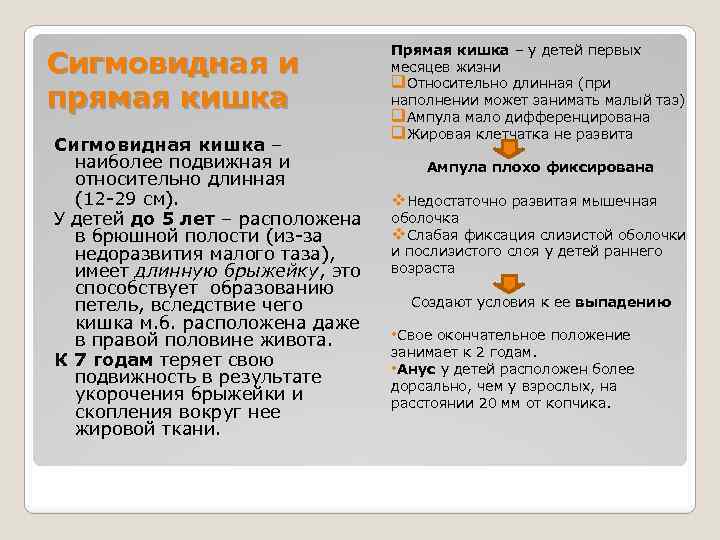 Сигмовидная и прямая кишка Сигмовидная кишка – наиболее подвижная и относительно длинная (12 -29