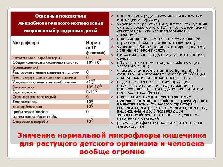 v v v v v антагонизм к ряду возбудителей кишечных инфекций и вирусам; участие
