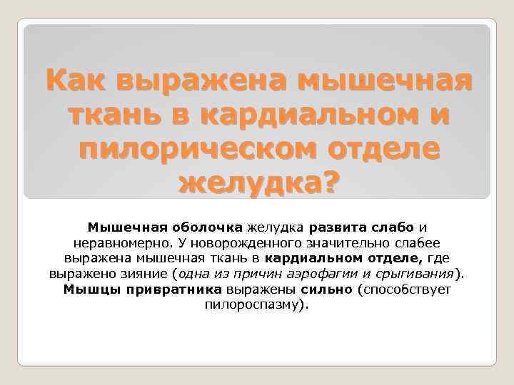 Как выражена мышечная ткань в кардиальном и пилорическом отделе желудка? Мышечная оболочка желудка развита