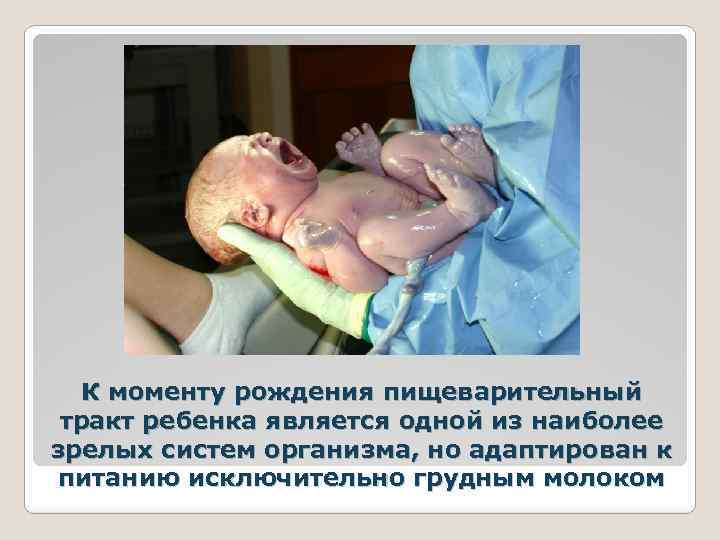 К моменту рождения пищеварительный тракт ребенка является одной из наиболее зрелых систем организма, но