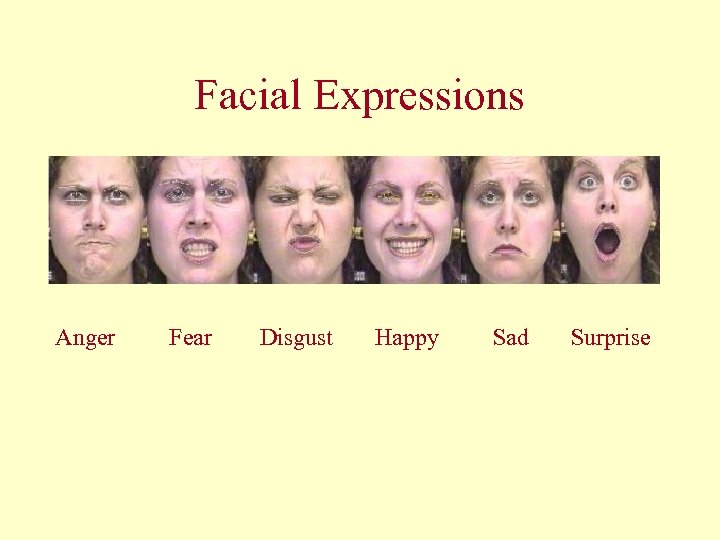 Facial Expressions Anger Fear Disgust Happy Sad Surprise 