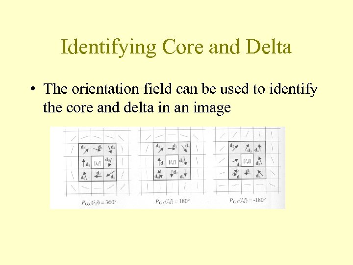 Identifying Core and Delta • The orientation field can be used to identify the