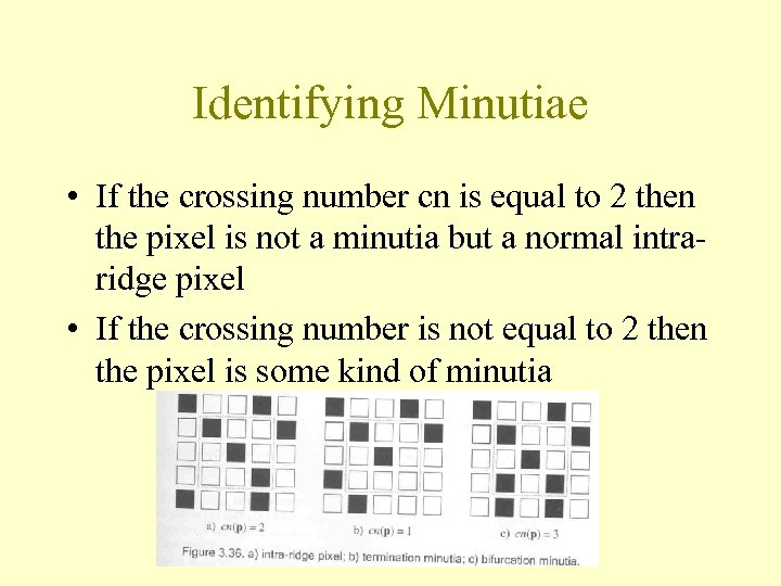 Identifying Minutiae • If the crossing number cn is equal to 2 then the