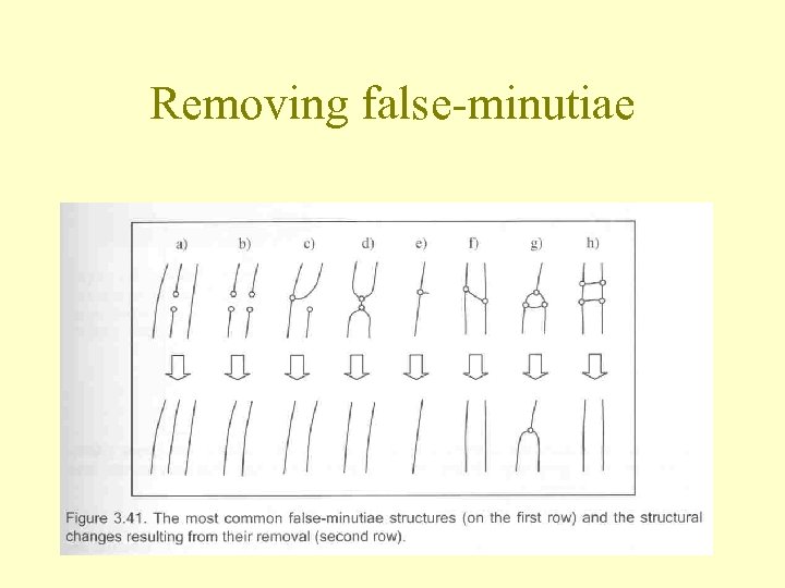 Removing false-minutiae 