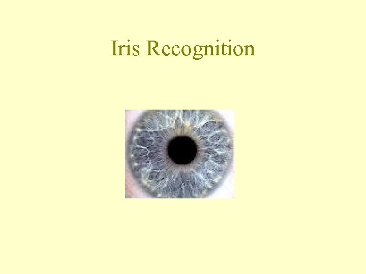 Iris Recognition 