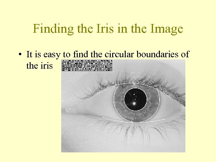 Finding the Iris in the Image • It is easy to find the circular