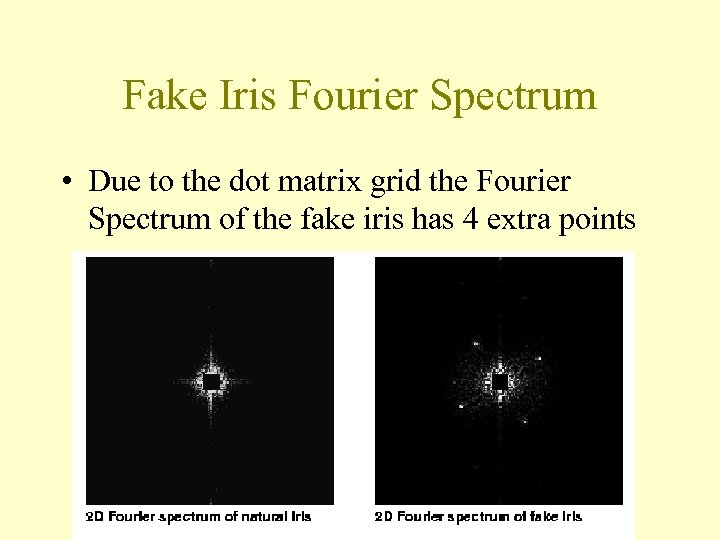 Fake Iris Fourier Spectrum • Due to the dot matrix grid the Fourier Spectrum