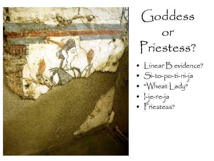 Goddess or Priestess? • • • Linear B evidence? Si-to-po-ti-ni-ja “Wheat Lady” I-je-re-ja Priestess?