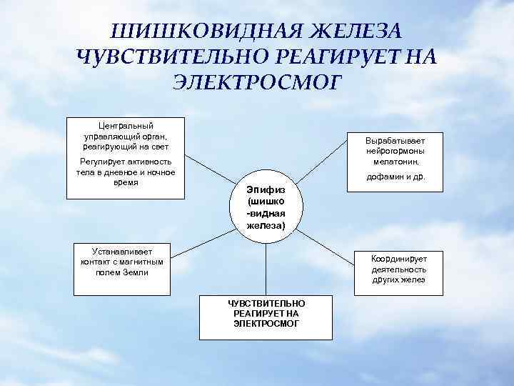 ШИШКОВИДНАЯ ЖЕЛЕЗА ЧУВСТВИТЕЛЬНО РЕАГИРУЕТ НА ЭЛЕКТРОСМОГ Центральный управляющий орган, реагирующий на свет Регулирует активность