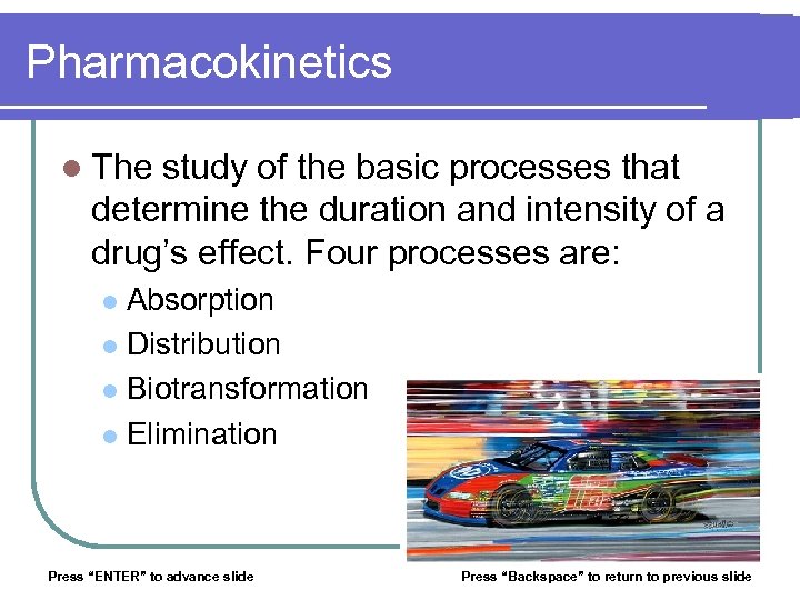Pharmacokinetics l The study of the basic processes that determine the duration and intensity
