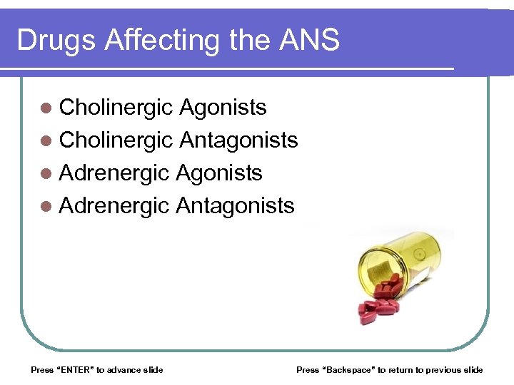 Drugs Affecting the ANS l Cholinergic Agonists l Cholinergic Antagonists l Adrenergic Antagonists Press