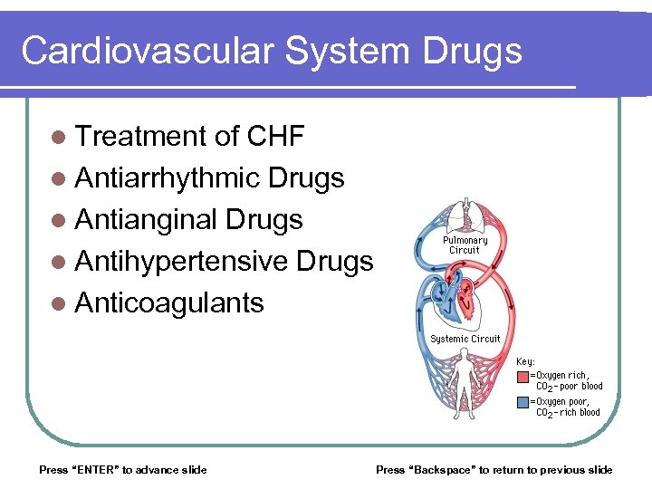 Cardiovascular System Drugs l Treatment of CHF l Antiarrhythmic Drugs l Antianginal Drugs l
