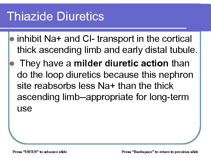 Thiazide Diuretics l inhibit Na+ and Cl- transport in the cortical thick ascending limb
