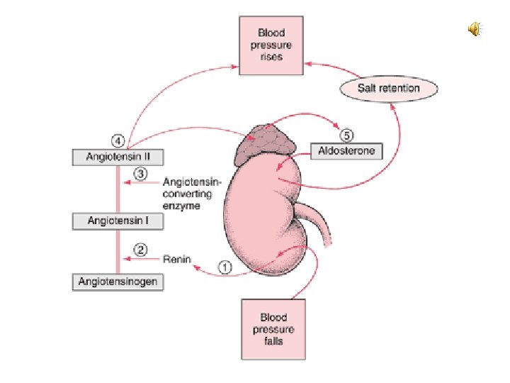 Press “ENTER” to advance slide Press “Backspace” to return to previous slide 