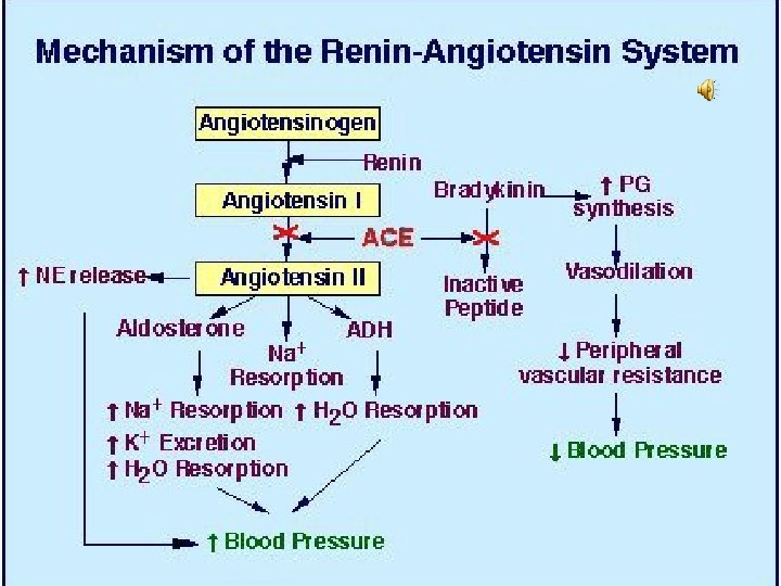 Press “ENTER” to advance slide Press “Backspace” to return to previous slide 