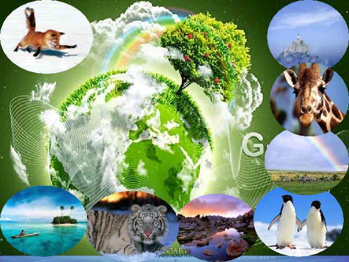 Тунгускова Л. И. 