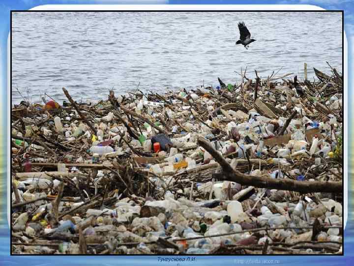 Тунгускова Л. И. 