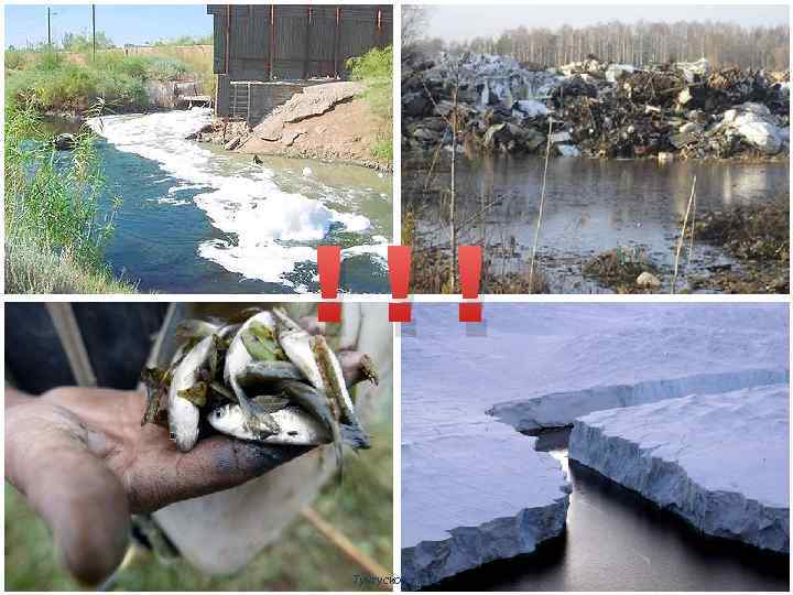 !!! Тунгускова Л. И. 