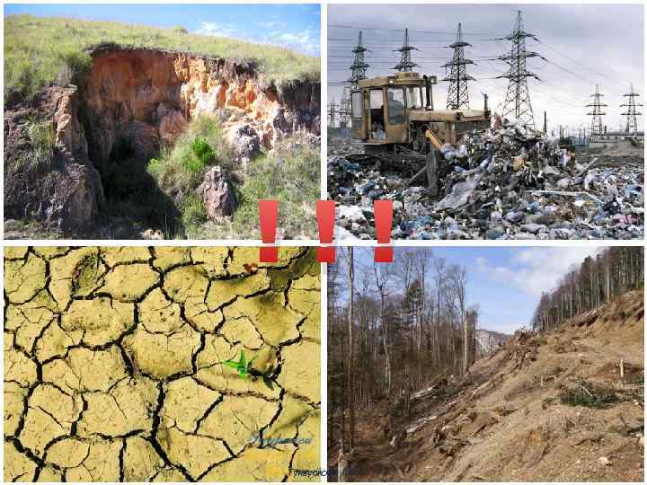 !!! Тунгускова Л. И. 