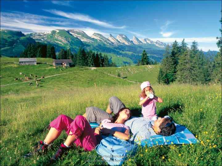 Автор: вчитель математики та інформатики Невмержицька Г. М. 