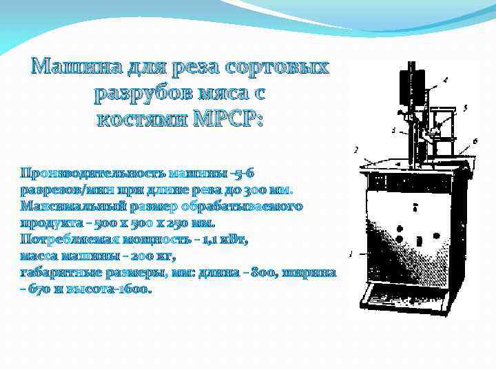 Машина для реза сортовых разрубов мяса с костями МРСР: Производительность машины -5 -6 разрезов/мин