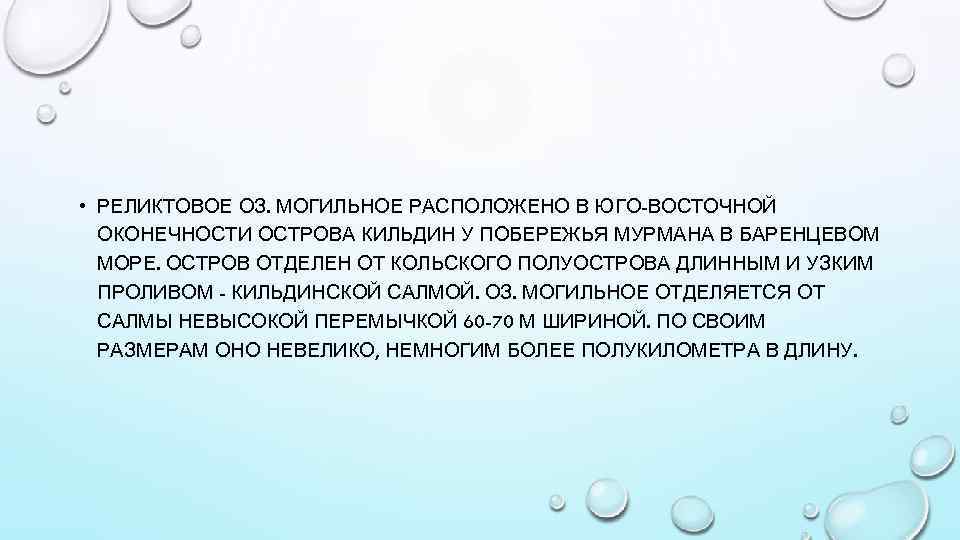  • РЕЛИКТОВОЕ ОЗ. МОГИЛЬНОЕ РАСПОЛОЖЕНО В ЮГО-ВОСТОЧНОЙ ОКОНЕЧНОСТИ ОСТРОВА КИЛЬДИН У ПОБЕРЕЖЬЯ МУРМАНА